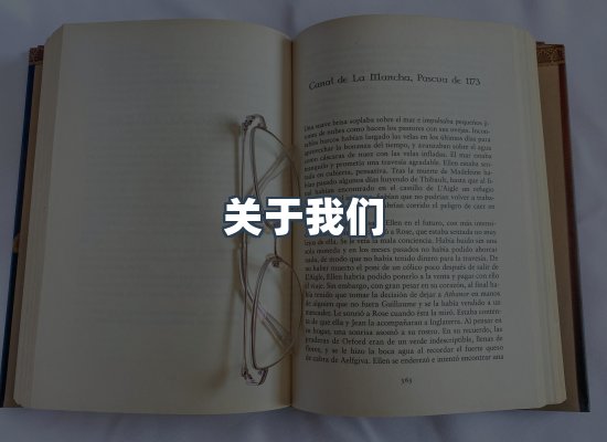 关于我们